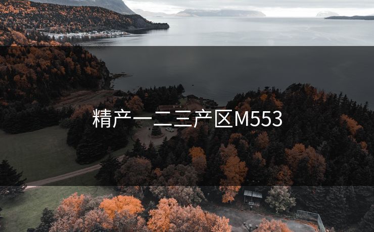 精产一二三产区M553 精产一二三产区M553