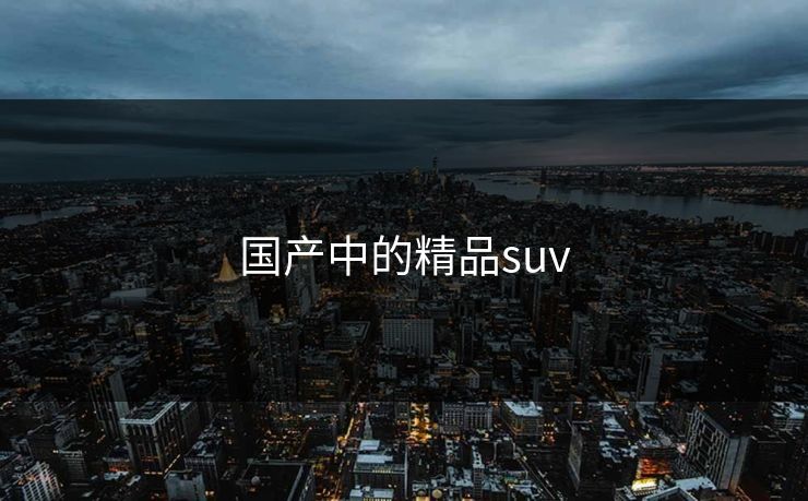 国产中的精品suv 国产中的精品suv